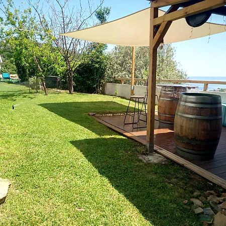 Cap Corse Uribellinu 1, Petit Dejeuner Partine المظهر الخارجي الصورة